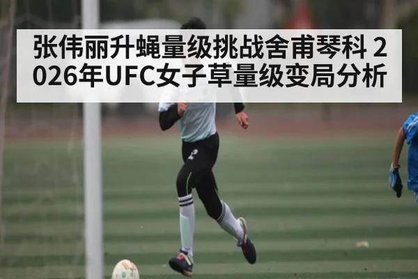 张伟丽升蝇量级挑战舍甫琴科 2026年UFC女子草量级变局分析